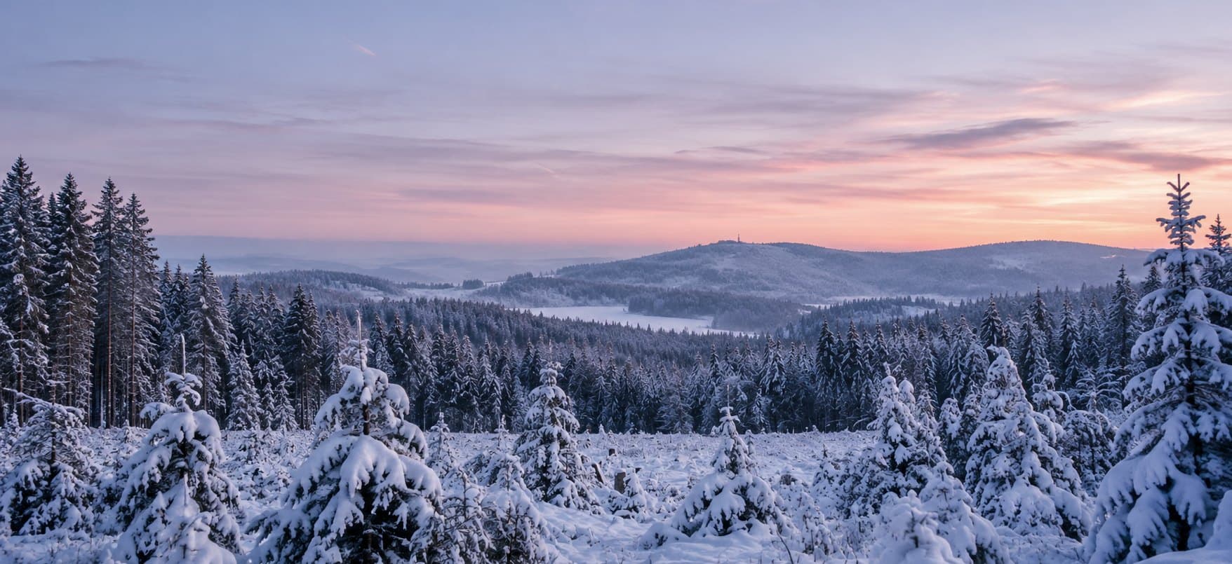 Verschneiter Wald im Oberharz bei Sonnenuntergang, im Hintergrund ein Bergrücken.